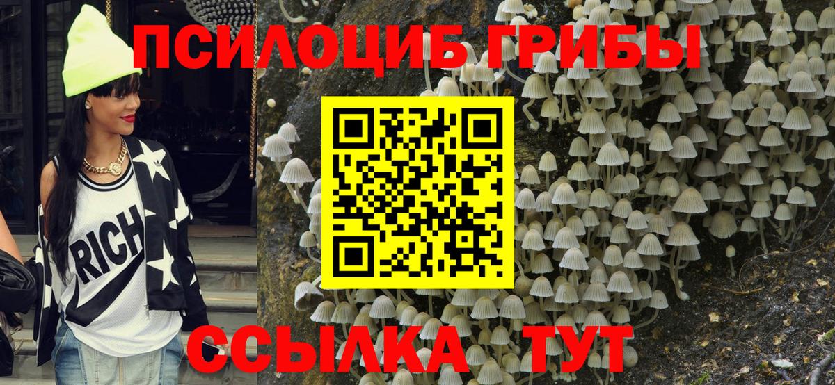 Псилоцибиновые грибы ЛСД Чебоксары