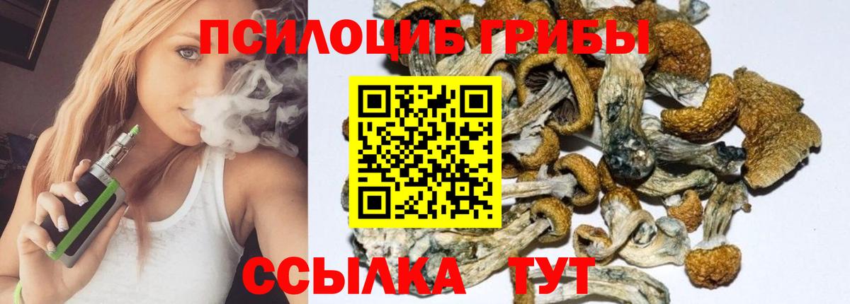 Чебоксары  наркошоп  Псилоцибиновые грибы Psilocybine cubensis  Вход с VPN  Галлюциногенные грибы Psilocybine cubensis 